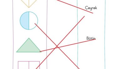 2. Sınıf Matematik Pasifik Yayınları Sayfa 181 Cevapları