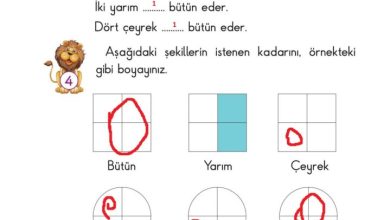 2. Sınıf Matematik Pasifik Yayınları Sayfa 182 Cevapları