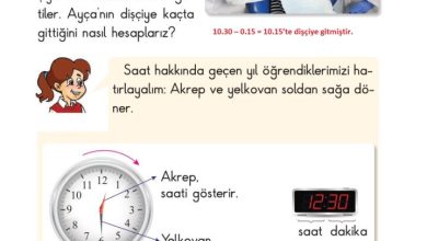 2. Sınıf Matematik Pasifik Yayınları Sayfa 183 Cevapları