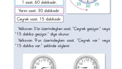 2. Sınıf Matematik Pasifik Yayınları Sayfa 184 Cevapları