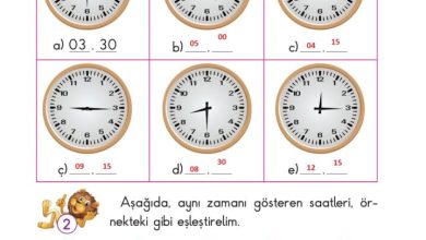 2. Sınıf Matematik Pasifik Yayınları Sayfa 185 Cevapları