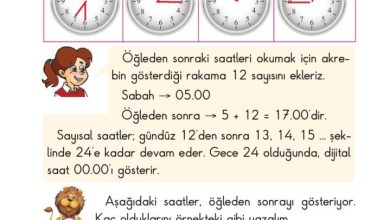 2. Sınıf Matematik Pasifik Yayınları Sayfa 186 Cevapları