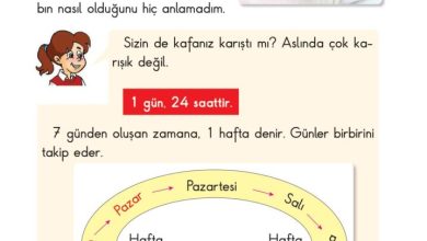 2. Sınıf Matematik Pasifik Yayınları Sayfa 187 Cevapları