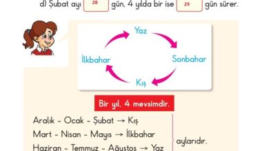 2. Sınıf Matematik Pasifik Yayınları Sayfa 189 Cevapları