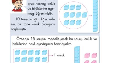 2. Sınıf Matematik Pasifik Yayınları Sayfa 19 Cevapları