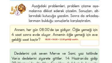 2. Sınıf Matematik Pasifik Yayınları Sayfa 191 Cevapları