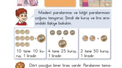 2. Sınıf Matematik Pasifik Yayınları Sayfa 192 Cevapları