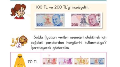 2. Sınıf Matematik Pasifik Yayınları Sayfa 193 Cevapları