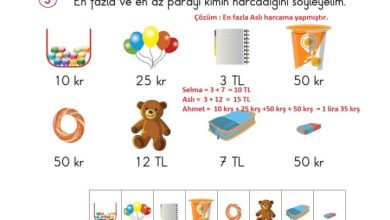 2. Sınıf Matematik Pasifik Yayınları Sayfa 195 Cevapları