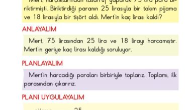 2. Sınıf Matematik Pasifik Yayınları Sayfa 196 Cevapları