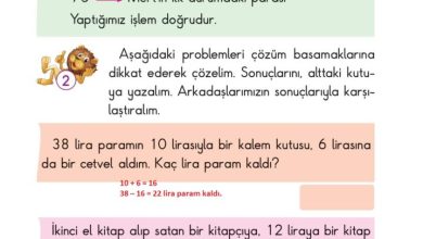 2. Sınıf Matematik Pasifik Yayınları Sayfa 197 Cevapları