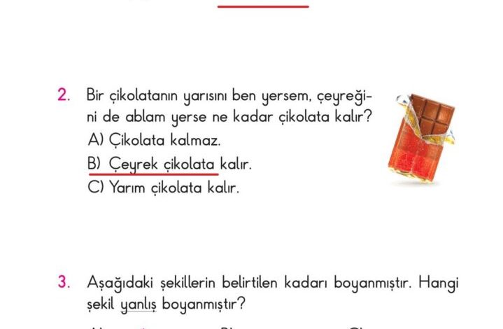 2. Sınıf Matematik Pasifik Yayınları Sayfa 198 Cevapları