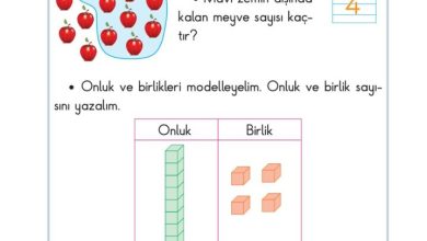 2. Sınıf Matematik Pasifik Yayınları Sayfa 20 Cevapları