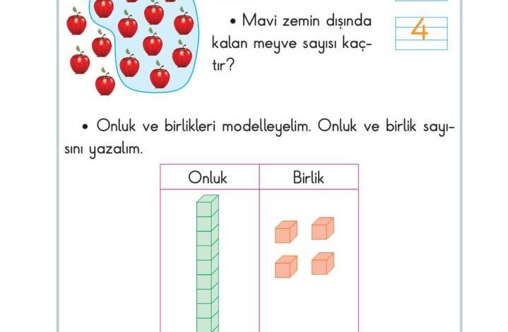 2. Sınıf Matematik Pasifik Yayınları Sayfa 20 Cevapları