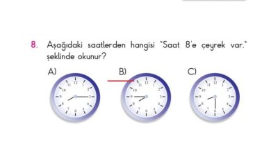 2. Sınıf Matematik Pasifik Yayınları Sayfa 200 Cevapları