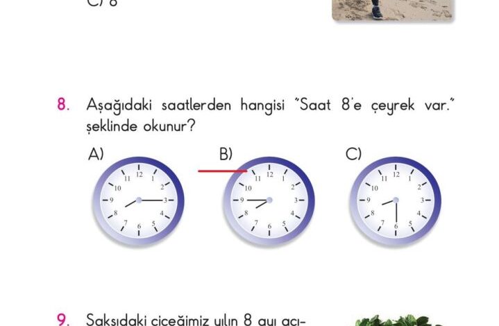 2. Sınıf Matematik Pasifik Yayınları Sayfa 200 Cevapları