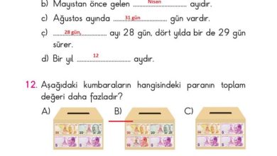 2. Sınıf Matematik Pasifik Yayınları Sayfa 201 Cevapları