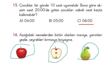 2. Sınıf Matematik Pasifik Yayınları Sayfa 202 Cevapları