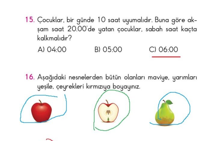 2. Sınıf Matematik Pasifik Yayınları Sayfa 202 Cevapları