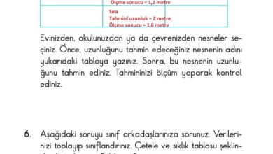 2. Sınıf Matematik Pasifik Yayınları Sayfa 205 Cevapları