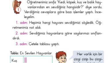 2. Sınıf Matematik Pasifik Yayınları Sayfa 206 Cevapları