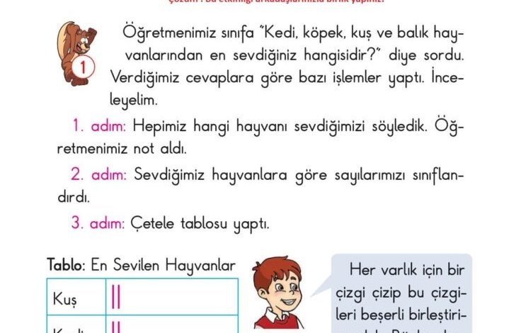 2. Sınıf Matematik Pasifik Yayınları Sayfa 206 Cevapları