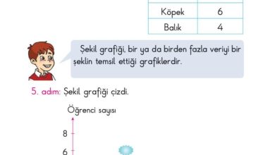 2. Sınıf Matematik Pasifik Yayınları Sayfa 207 Cevapları