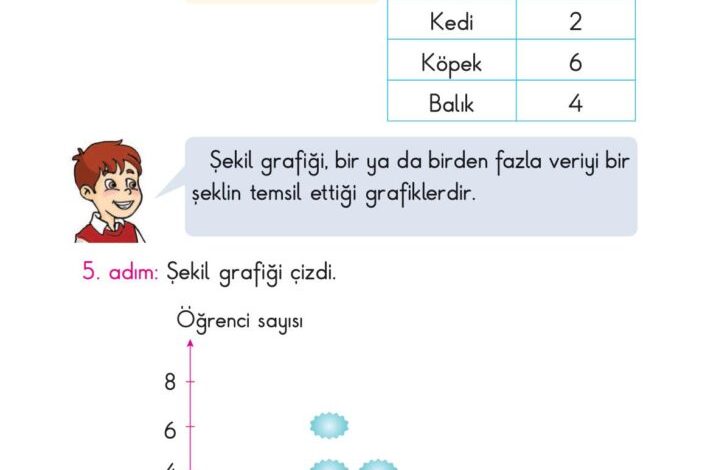 2. Sınıf Matematik Pasifik Yayınları Sayfa 207 Cevapları