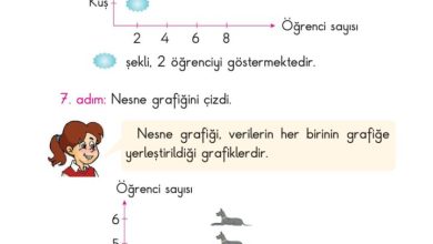 2. Sınıf Matematik Pasifik Yayınları Sayfa 208 Cevapları