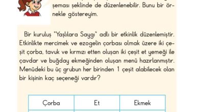 2. Sınıf Matematik Pasifik Yayınları Sayfa 209 Cevapları