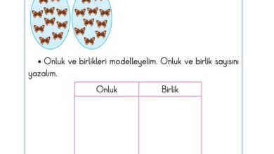 2. Sınıf Matematik Pasifik Yayınları Sayfa 21 Cevapları