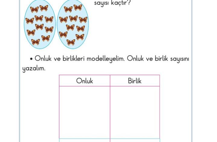 2. Sınıf Matematik Pasifik Yayınları Sayfa 21 Cevapları