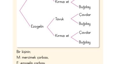 2. Sınıf Matematik Pasifik Yayınları Sayfa 210 Cevapları