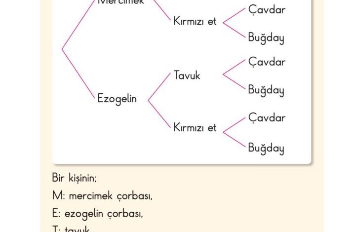 2. Sınıf Matematik Pasifik Yayınları Sayfa 210 Cevapları