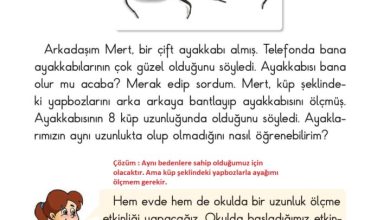 2. Sınıf Matematik Pasifik Yayınları Sayfa 211 Cevapları