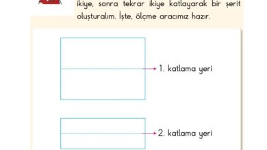 2. Sınıf Matematik Pasifik Yayınları Sayfa 212 Cevapları