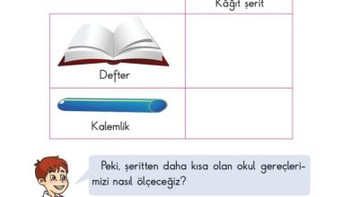 2. Sınıf Matematik Pasifik Yayınları Sayfa 213 Cevapları