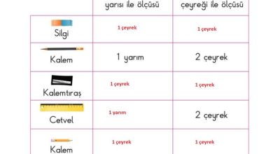 2. Sınıf Matematik Pasifik Yayınları Sayfa 214 Cevapları