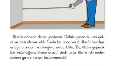 2. Sınıf Matematik Pasifik Yayınları Sayfa 215 Cevapları