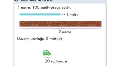 2. Sınıf Matematik Pasifik Yayınları Sayfa 216 Cevapları