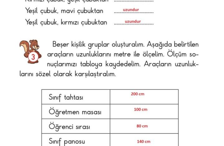 2. Sınıf Matematik Pasifik Yayınları Sayfa 219 Cevapları