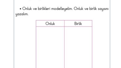 2. Sınıf Matematik Pasifik Yayınları Sayfa 22 Cevapları