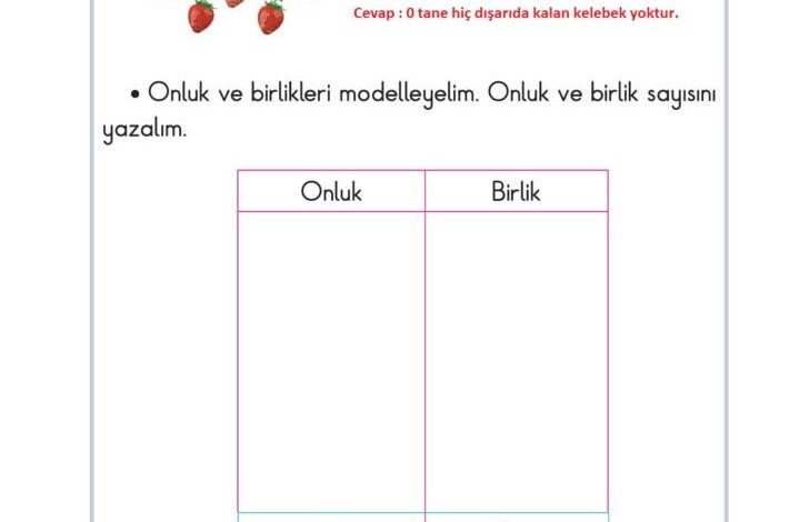 2. Sınıf Matematik Pasifik Yayınları Sayfa 22 Cevapları