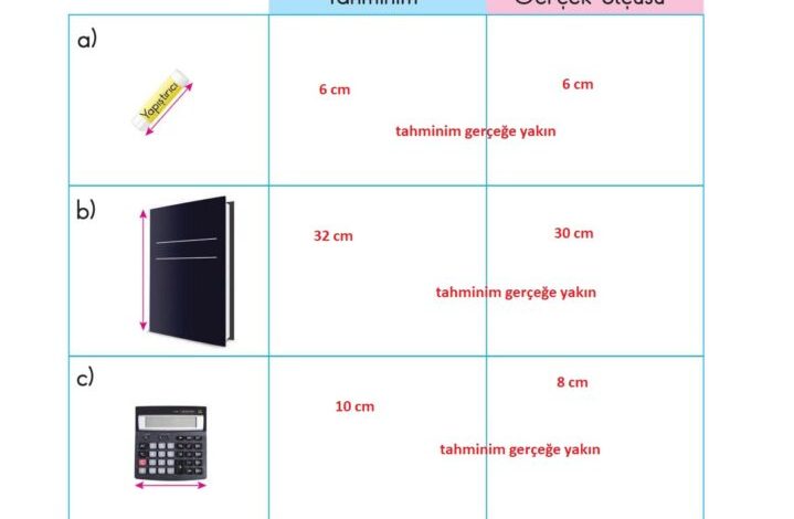 2. Sınıf Matematik Pasifik Yayınları Sayfa 221 Cevapları