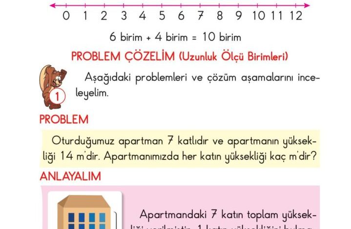 2. Sınıf Matematik Pasifik Yayınları Sayfa 224 Cevapları