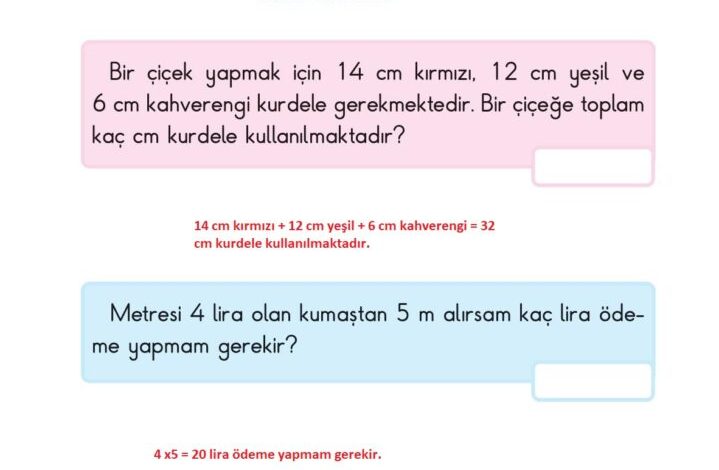 2. Sınıf Matematik Pasifik Yayınları Sayfa 226 Cevapları