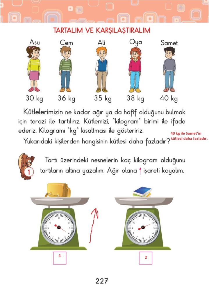 2. Sınıf Matematik Pasifik Yayınları Sayfa 227 Cevapları