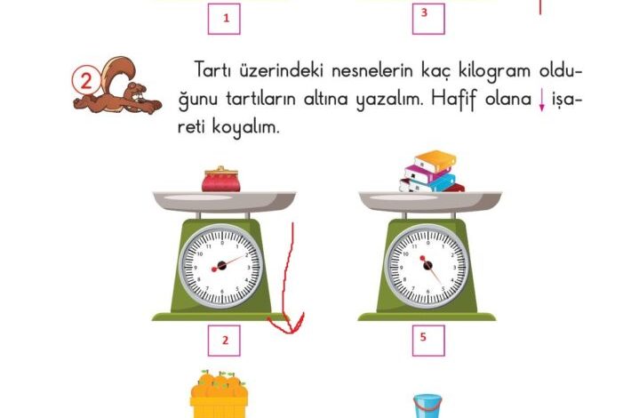 2. Sınıf Matematik Pasifik Yayınları Sayfa 228 Cevapları