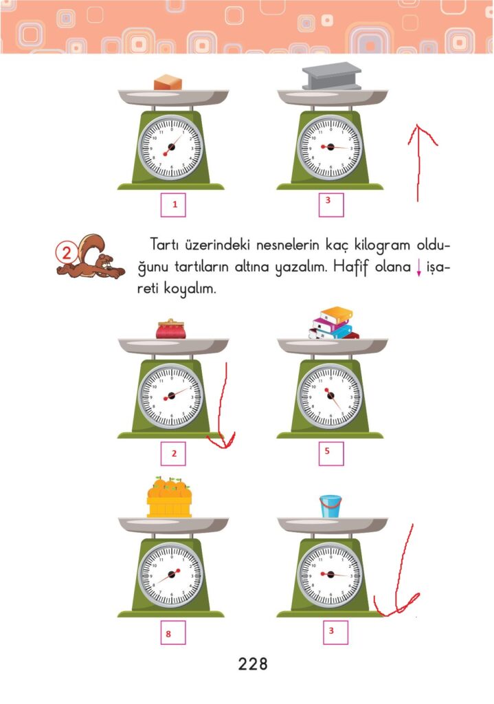 2. Sınıf Matematik Pasifik Yayınları Sayfa 228 Cevapları