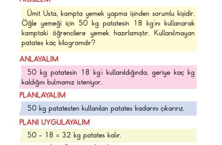 2. Sınıf Matematik Pasifik Yayınları Sayfa 229 Cevapları